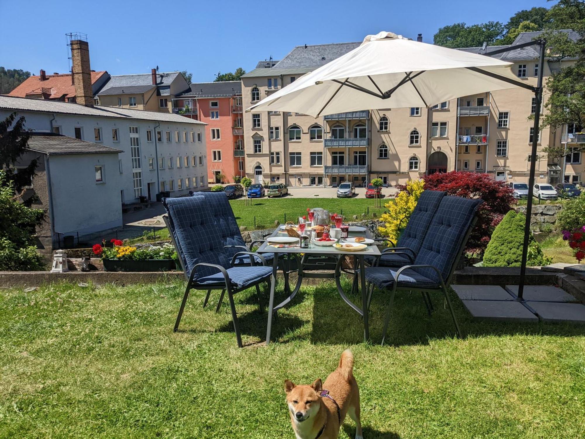 Hw3 - Urlaubsmagie - Helle, Grosse Wohnung Mit Pool ゼーブニッツ エクステリア 写真